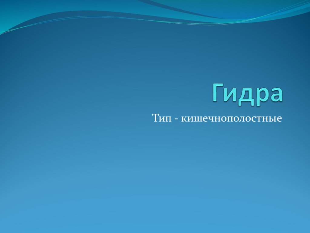 Как восстановить аккаунт кракен