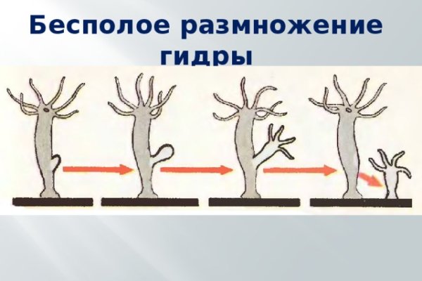 Как зайти на кракен супернет