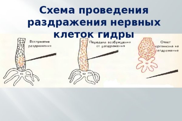 Прямая ссылка на кракен