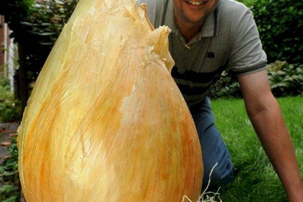 Ссылки на сайты супернета