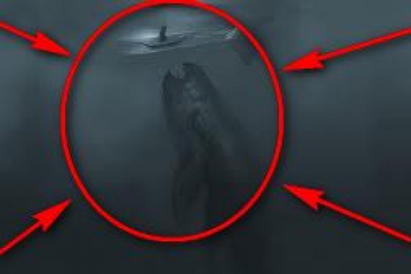 Kraken вход kraken torion