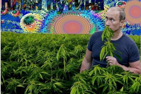 Кракен супернет не работает