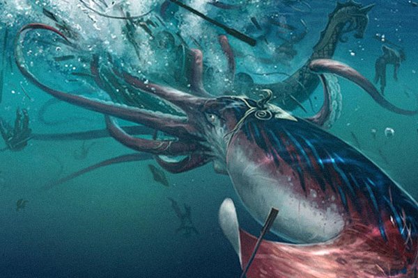 Kraken whitenet market