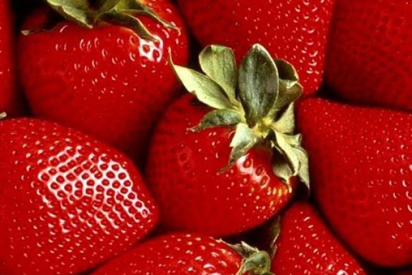 Как восстановить пароль на кракене