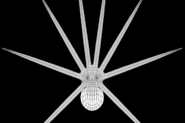 Kraken 17at