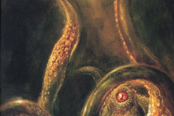 Kraken whitenet sliv php