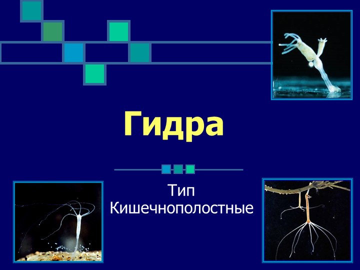 Как зарегистрироваться на сайте кракен