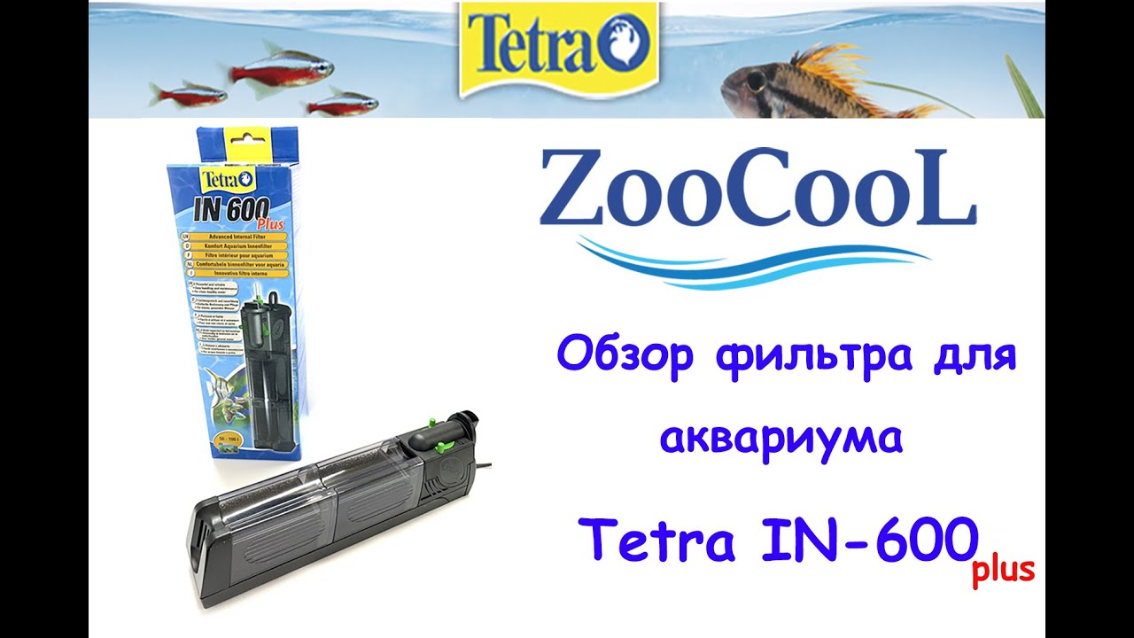 Кракен плейс
